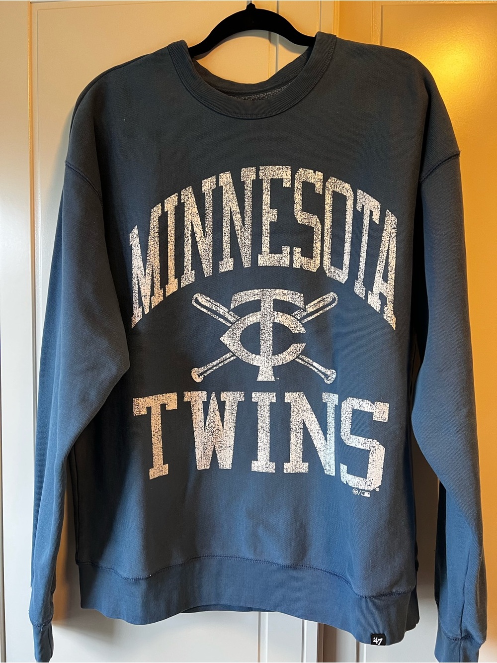 47 Brand Kids Minnesota Twins Slate Blue Graphic Crewneck Sweatshirt